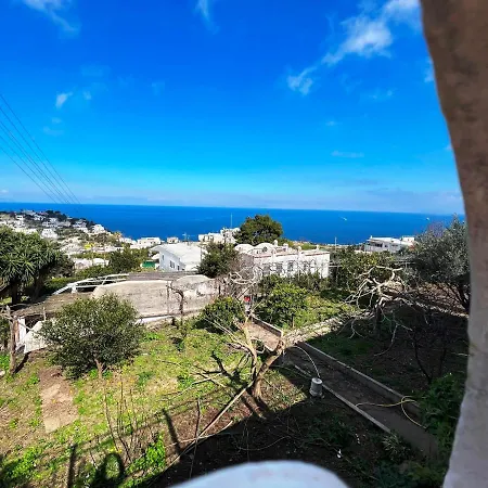 Regina Di Capri - Acquaviva - *